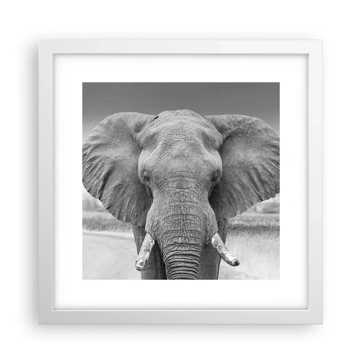 Poster in een witte lijst - Welkom in mijn wereld - 30x30 cm