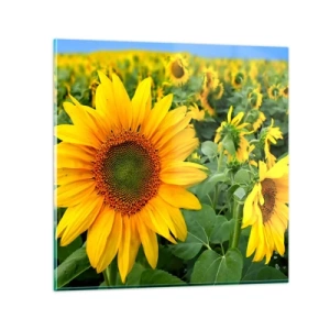 Schilderen op glas - Honderden zonnen vlamden op - 30x30 cm