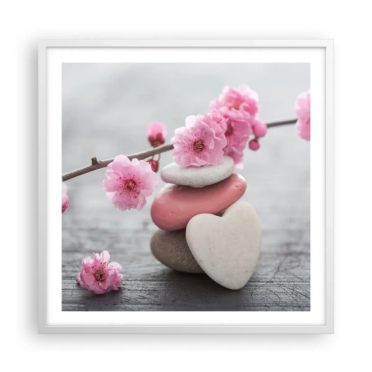 Poster in een witte lijst - Gelukzaligheid met een kersenbloesem - 60x60 cm