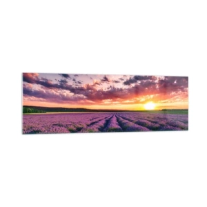 Schilderen op glas - Lavendel wereld - 160x50 cm