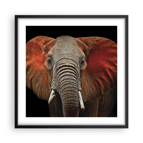 Poster in een zwarte lijst - Ik ben wild, en jij? - 50x50 cm