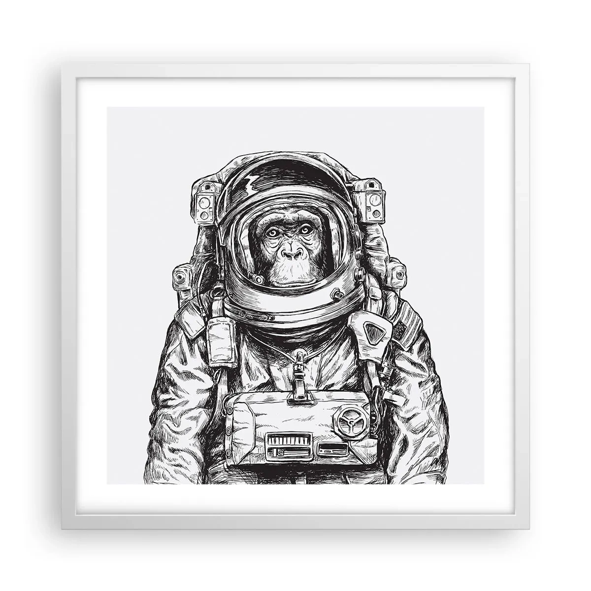 Poster in een witte lijst - Alternatieve evolutie - 50x50 cm