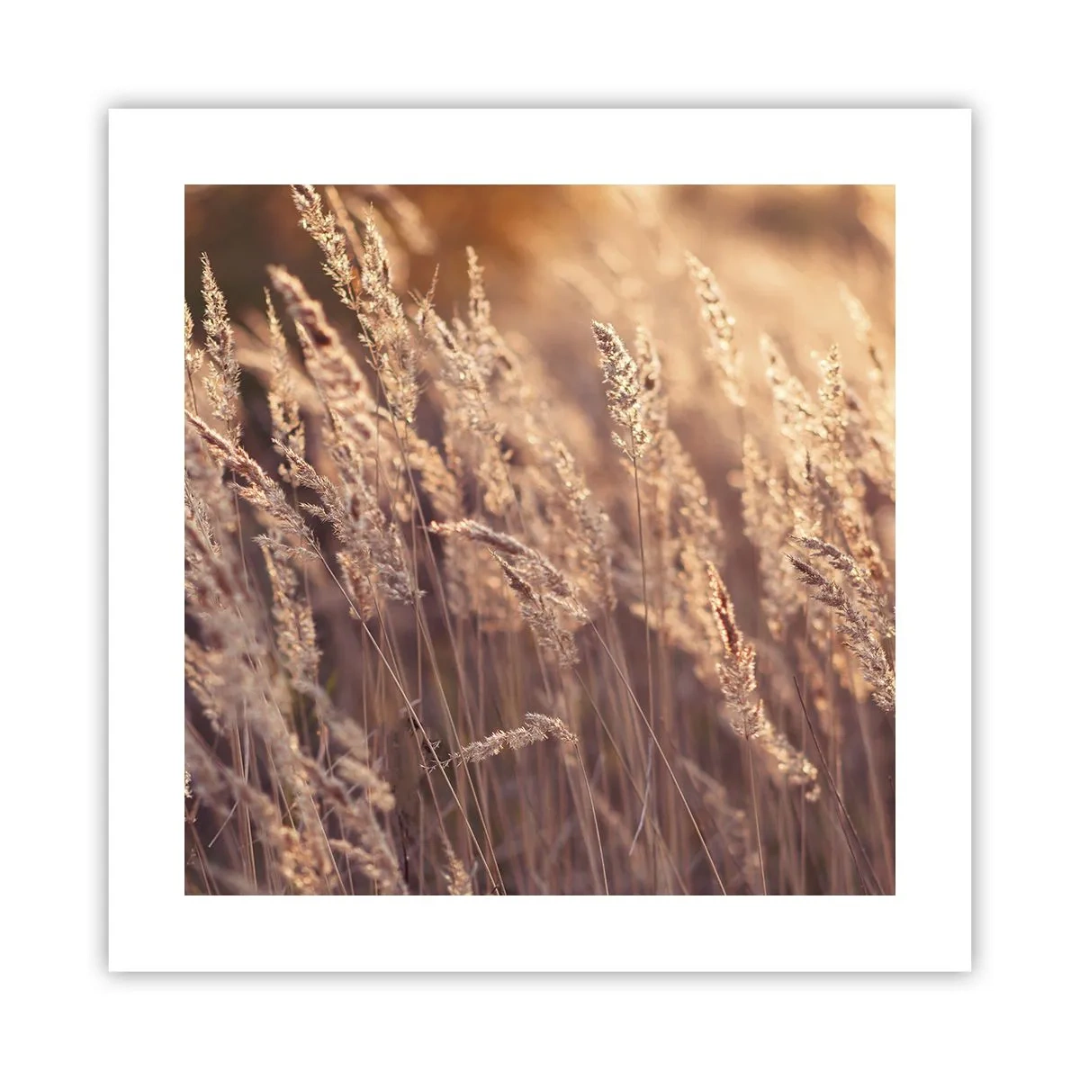 Poster - Klaar om de herfst te verwelkomen - 40x40 cm