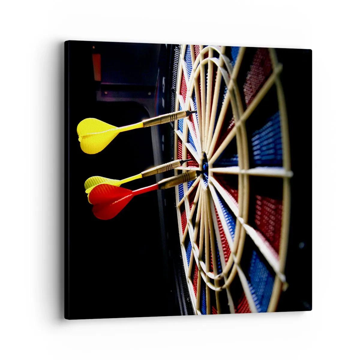 Schilderen op canvas - De spikerop de kop - 40x40 cm