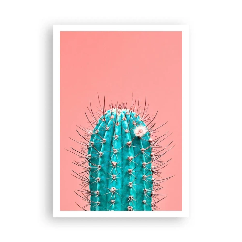 Poster - Kijk gewoon - 70x100 cm