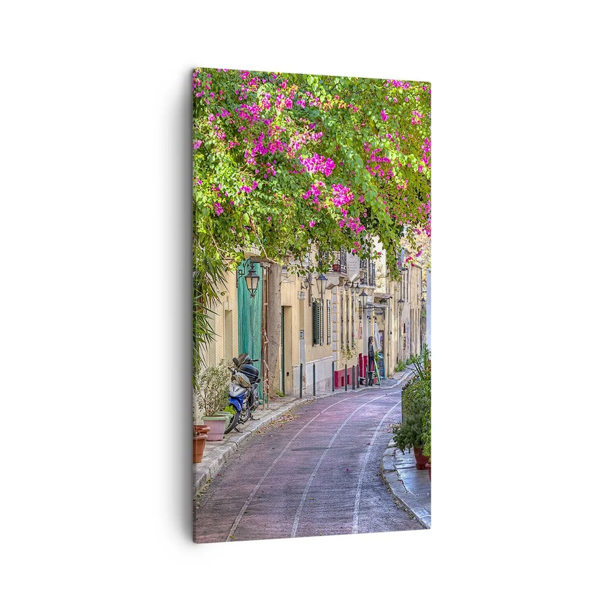 Schilderen op canvas - Bloeiende steeg - 45x80 cm