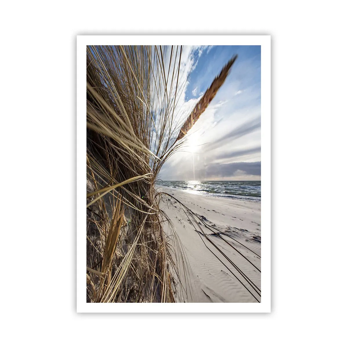 Poster - Een ontmoeting van de elementen - 70x100 cm
