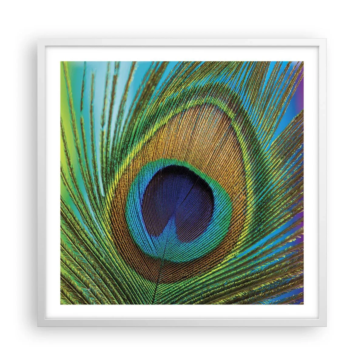 Poster in een witte lijst - Oog in oog - 60x60 cm