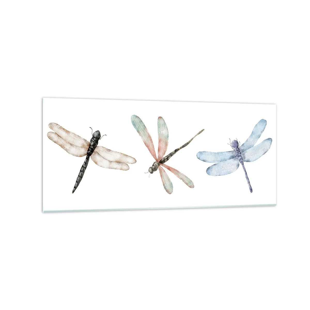 Schilderen op glas - Gewichtloze libellen - 120x50 cm