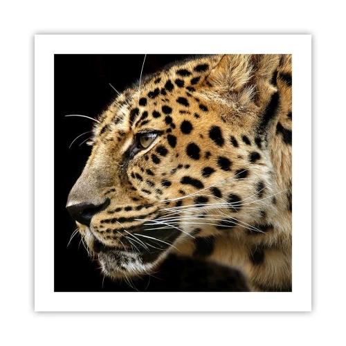 Poster - Rustig, gefocust, klaar - 50x50 cm