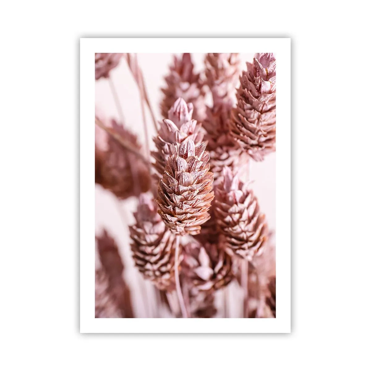 Poster - Schijnbaar onopvallend - 50x70 cm