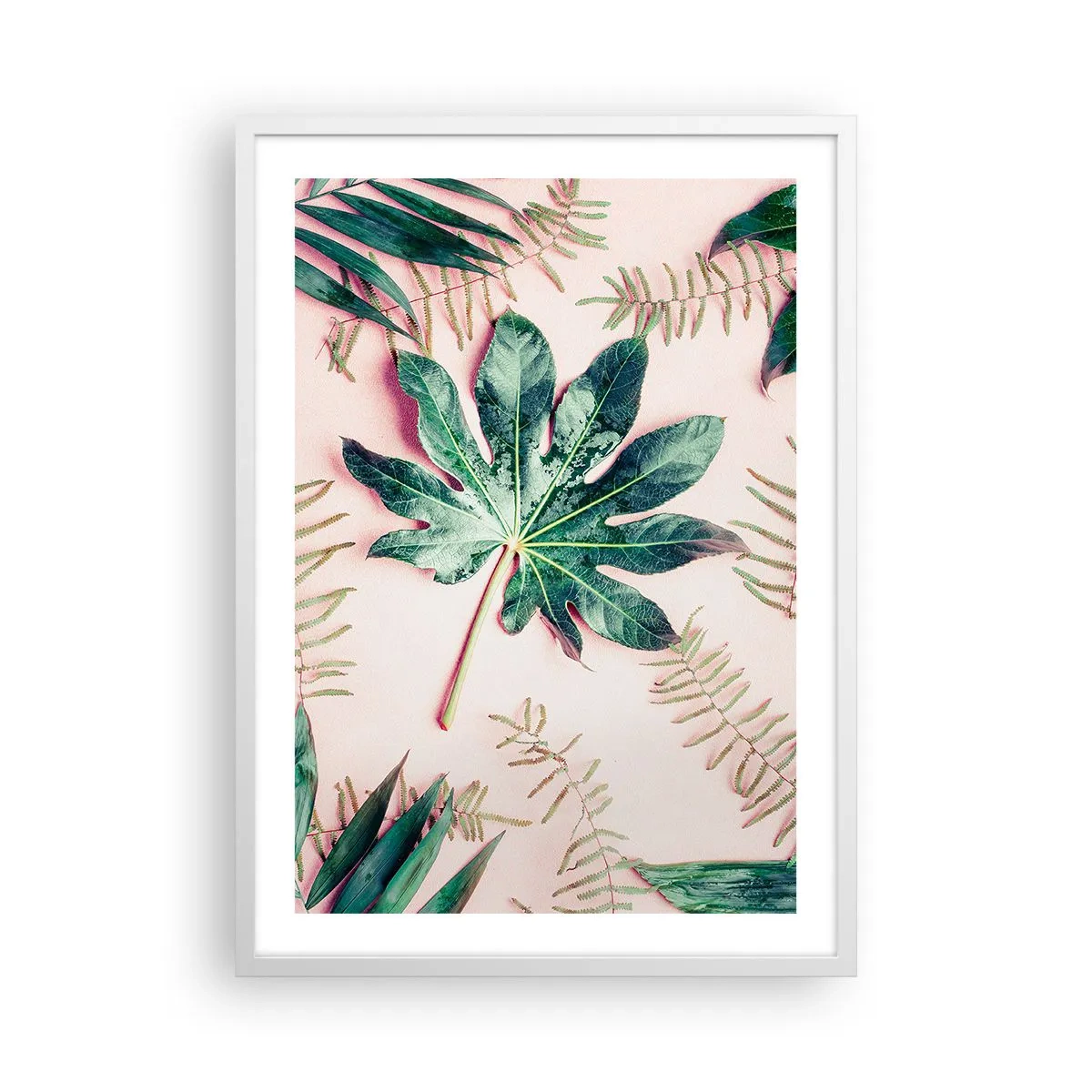 Poster in een witte lijst - Een studie van groen op een roze achtergrond - 50x70 cm