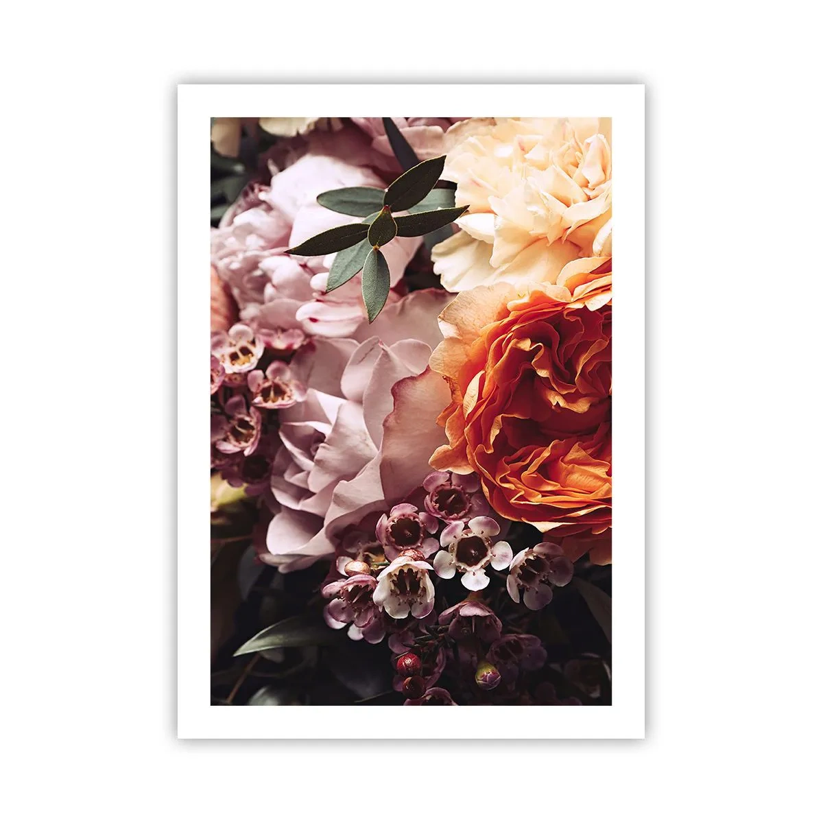 Poster - Gehuld in schoonheid - 50x70 cm