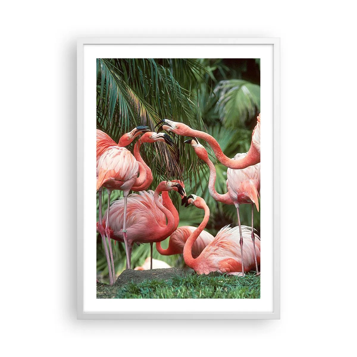 Poster in een witte lijst - Middag roddels - 50x70 cm