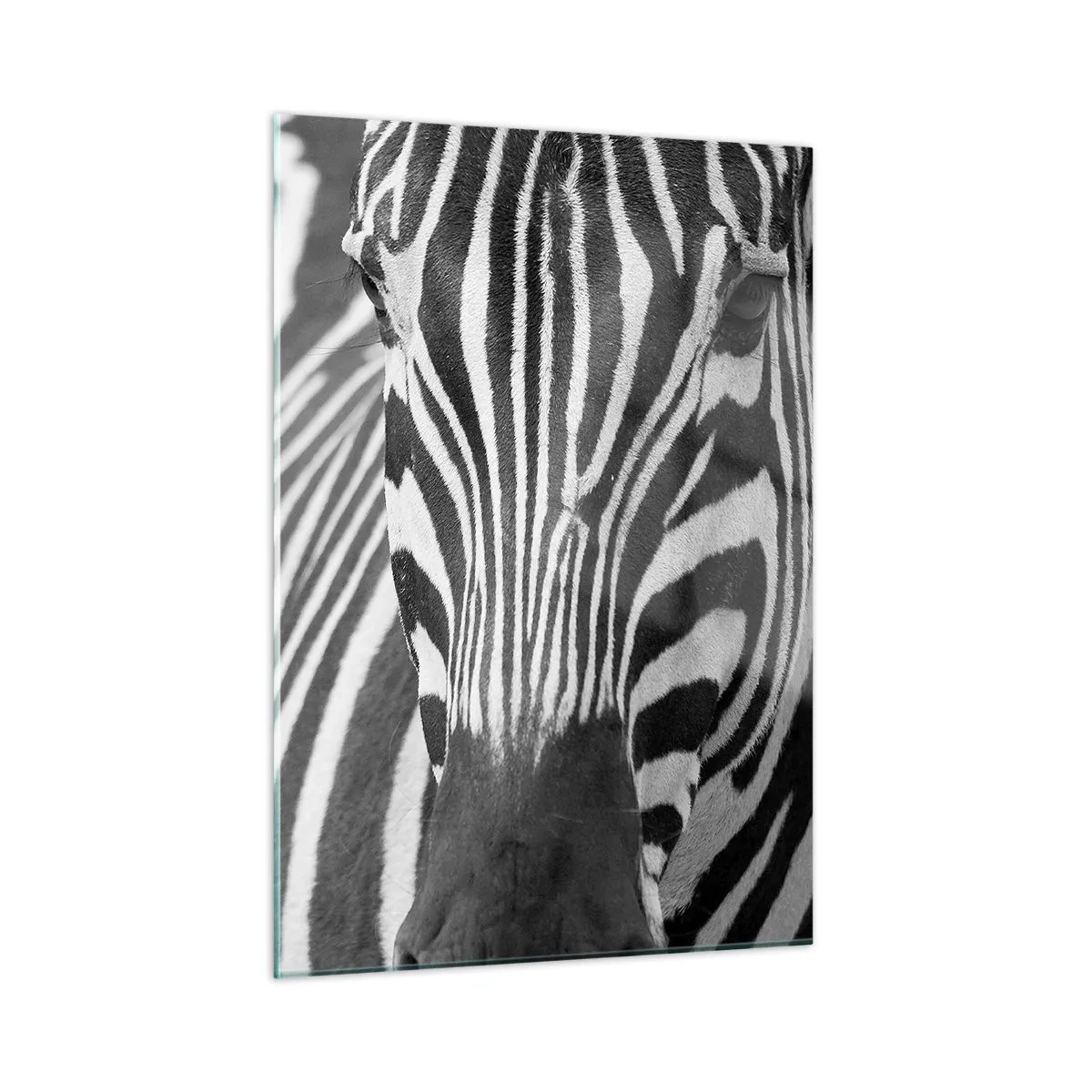 Schilderen op glas - De wereld is zwart-wit - 50x70 cm