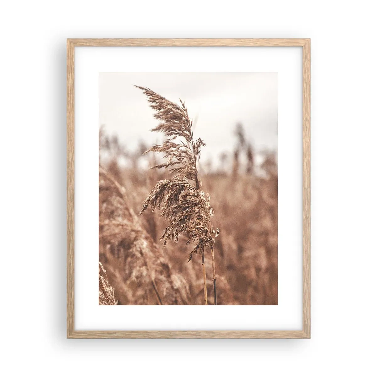 Een poster in een licht eiken lijst - Het is al herfst in de velden - 40x50 cm