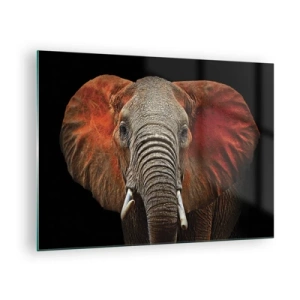 Schilderen op glas - Portret van een majestueuze olifant tegen een zwarte achtergrond - 70x50cm - Ik ben wild, en jij? - Moderne wanddecoratie voor woonkamer en slaapkamer ARTTOR