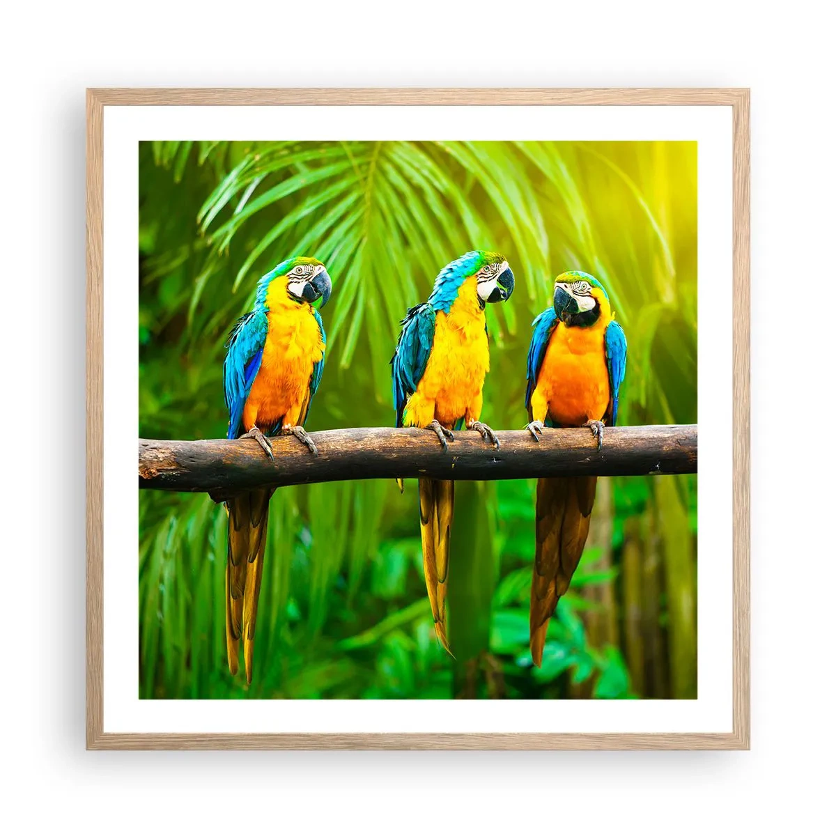 Een poster in een licht eiken lijst - En heb je gehoord dat ze...? - 60x60 cm