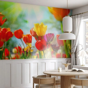 Fotobehang Premium Canvas - Alle kleuren van de zon - Tulpen, Bloemen, Wei - 100x70 cm