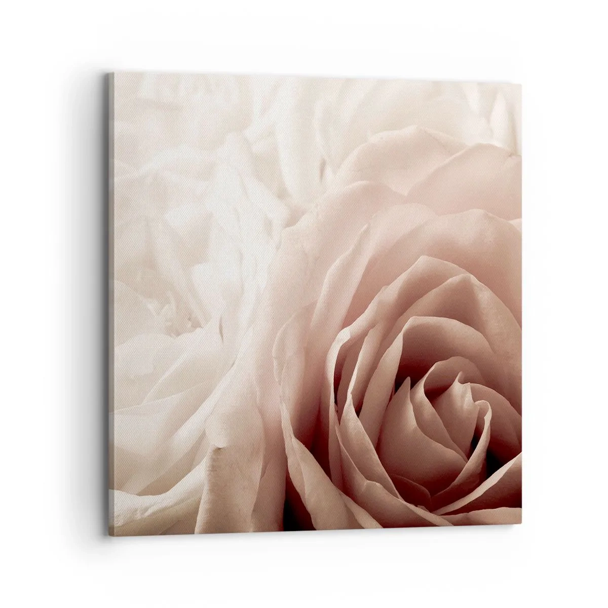 Schilderen op canvas - In het hart van een roos - 70x70 cm