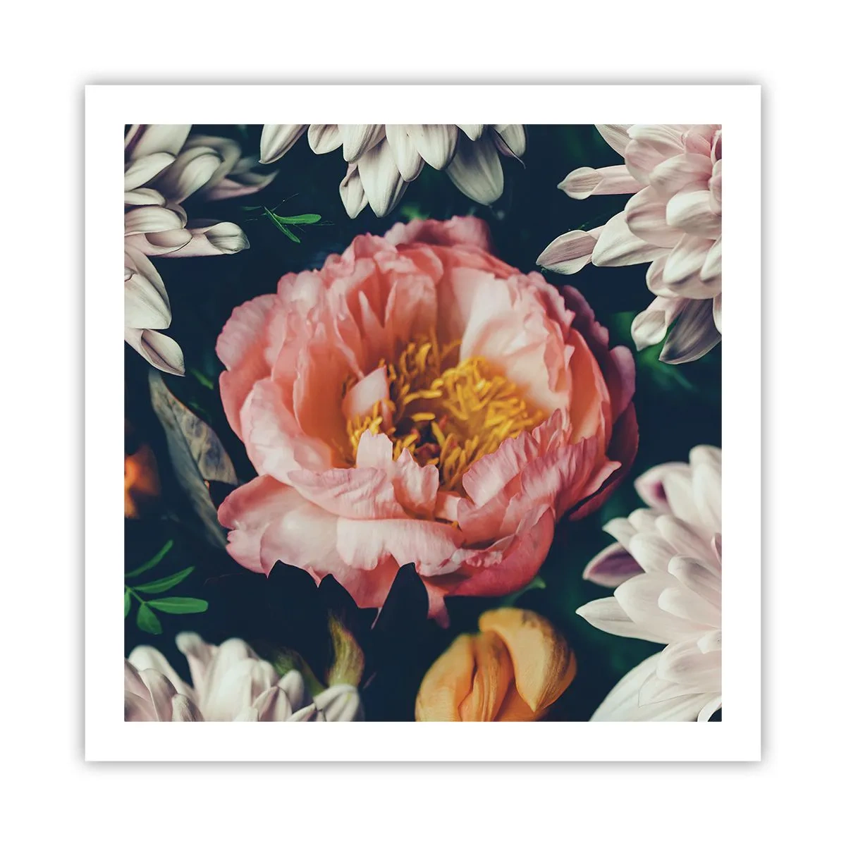 Poster - Met barokke pracht - 60x60 cm