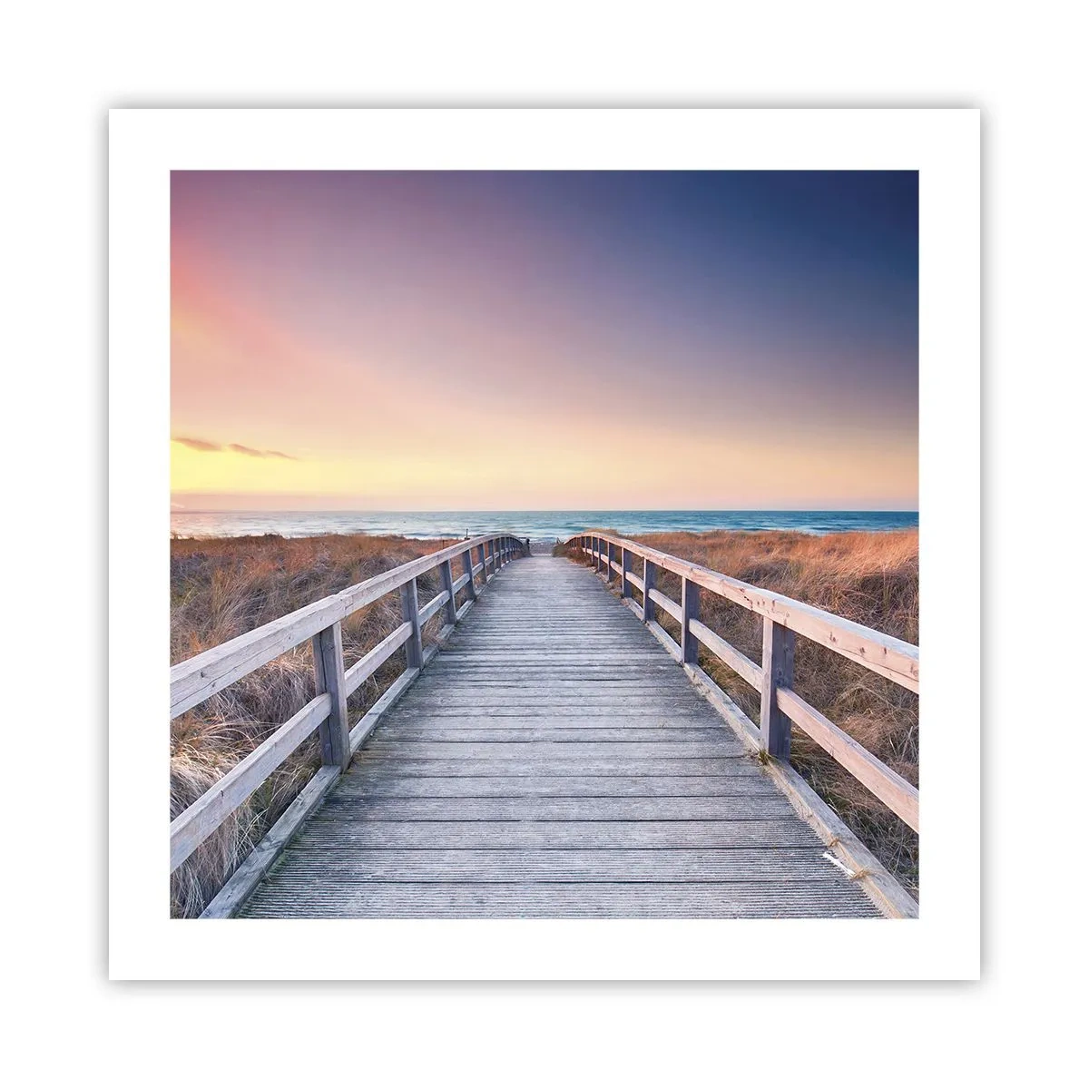 Poster - Baltische avond aurora - 50x50 cm
