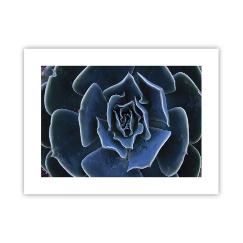Poster - Woestijn bloem - 40x30 cm