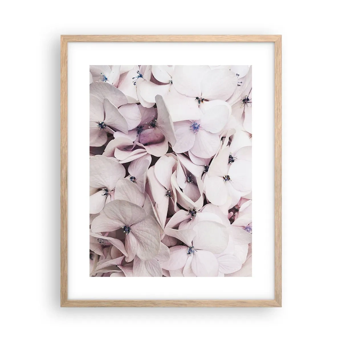 Een poster in een licht eiken lijst - In een vloed van bloemen - 40x50 cm