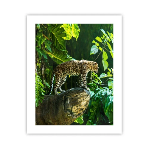 Poster - Op jacht? - 40x50 cm