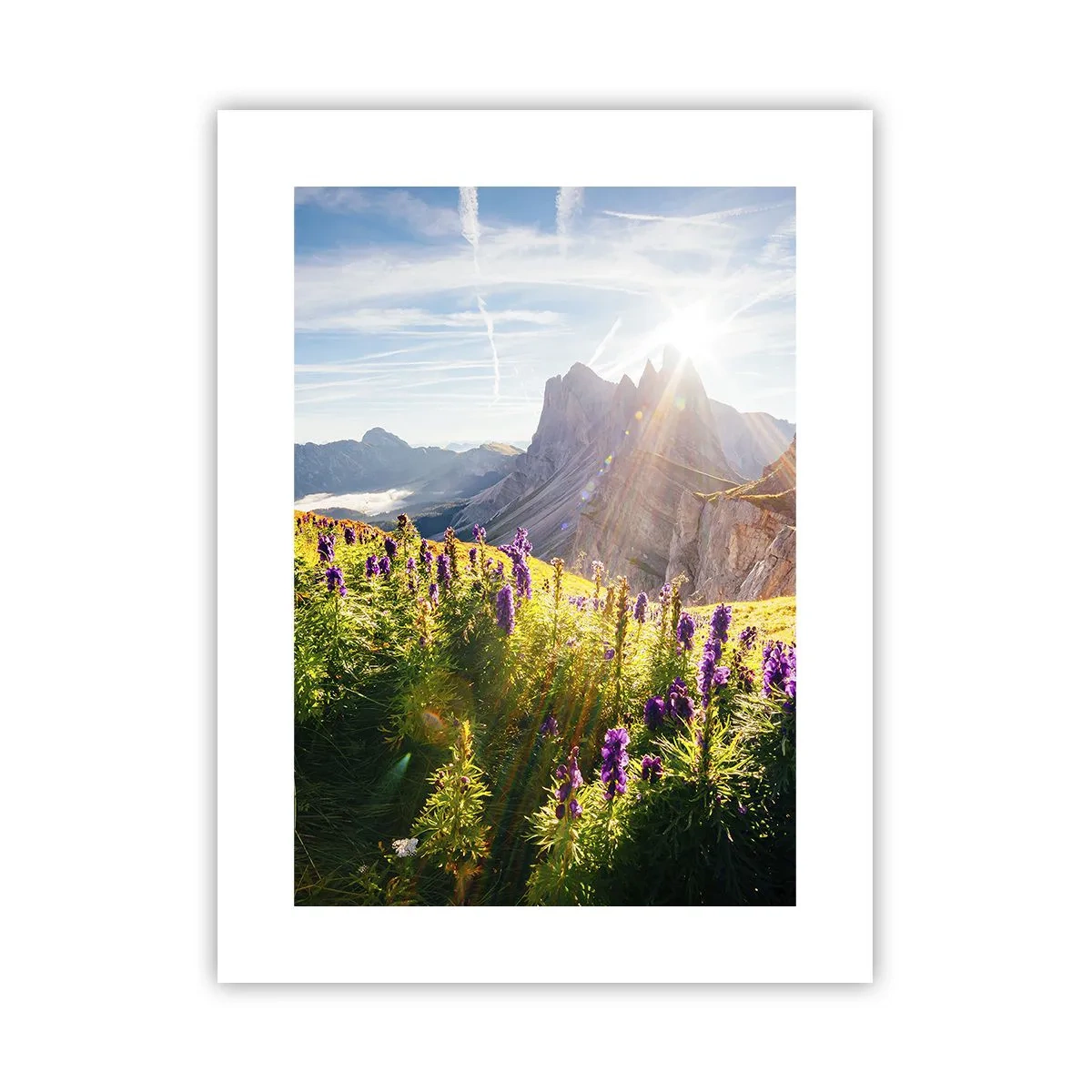 Poster - Het geheime leven van kruiden - 30x40 cm