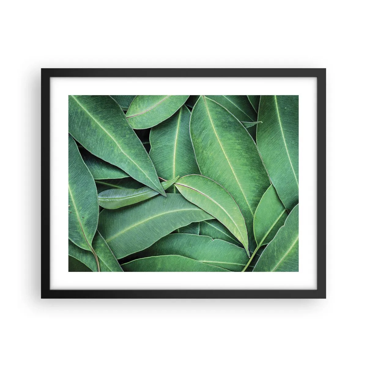 Poster in een zwarte lijst - Sappig en fris - 50x40 cm