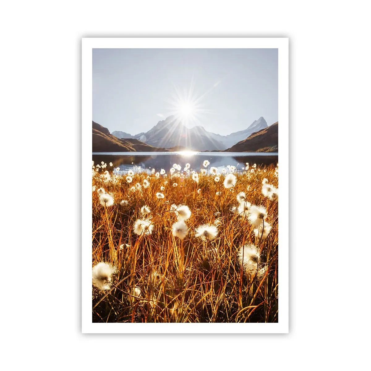 Poster - Steenhardheid, graszachtheid - 70x100 cm