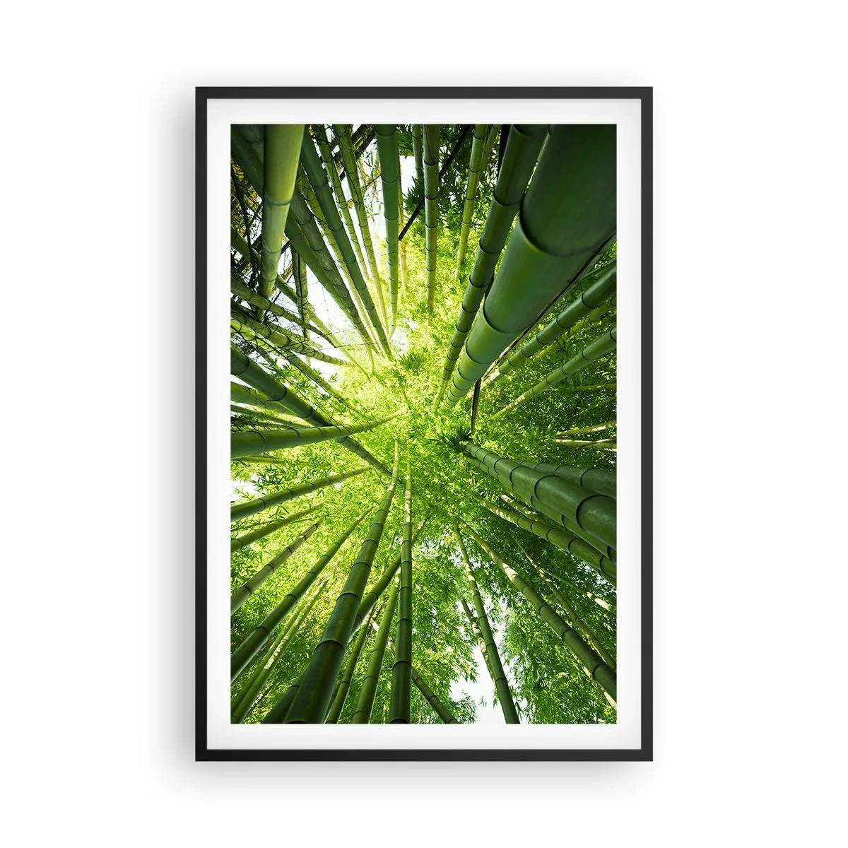 Poster in een zwarte lijst - In een bamboebos - 61x91 cm
