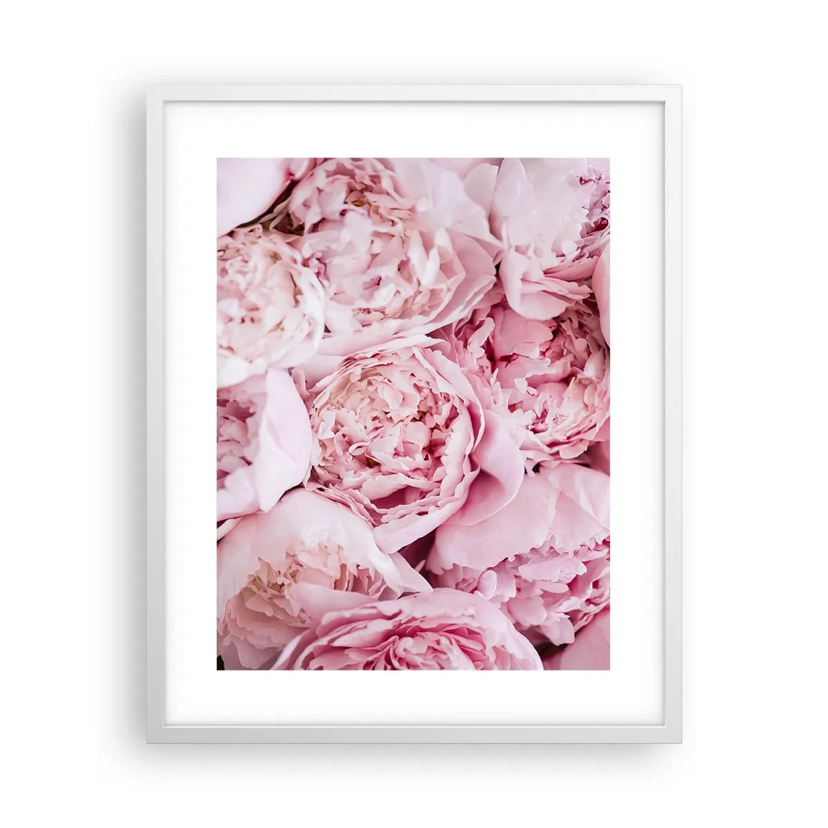 Poster in een witte lijst - Knuffelend en geurig - 40x50 cm