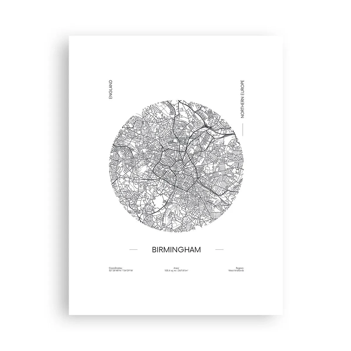 Poster - Anatomie van Birmingham - 30x40 cm