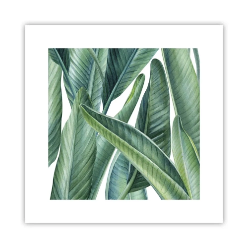 Poster - Groen zelf - 30x30 cm