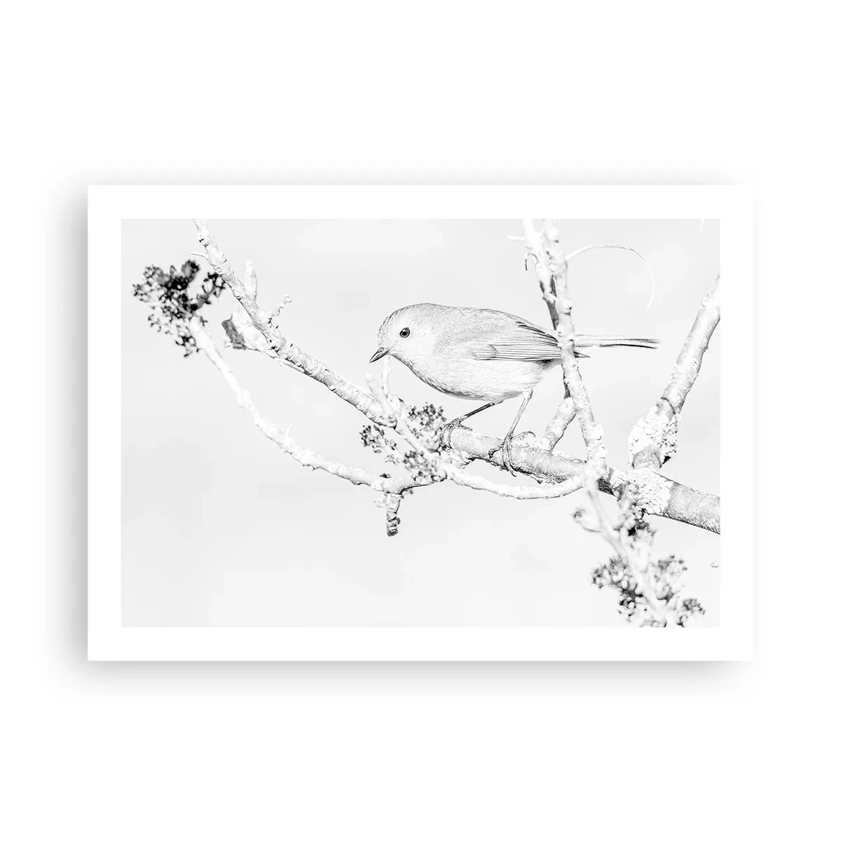 Poster - Winterochtend - 70x50 cm