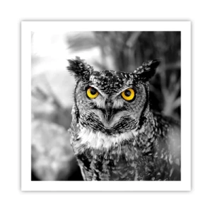 Poster - Niets zal zich verbergen - 60x60 cm