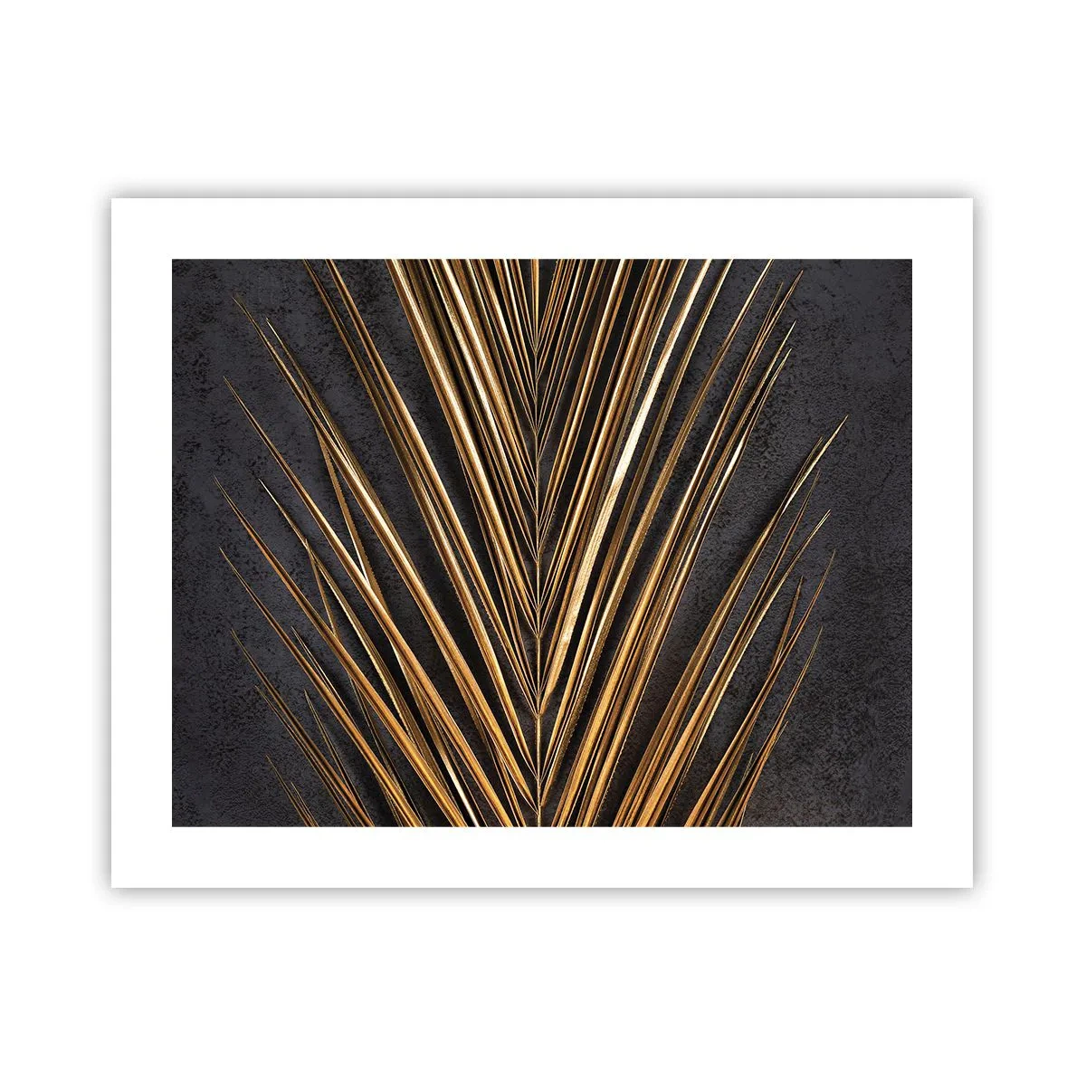 Poster - Het goud van de tropen - 50x40 cm