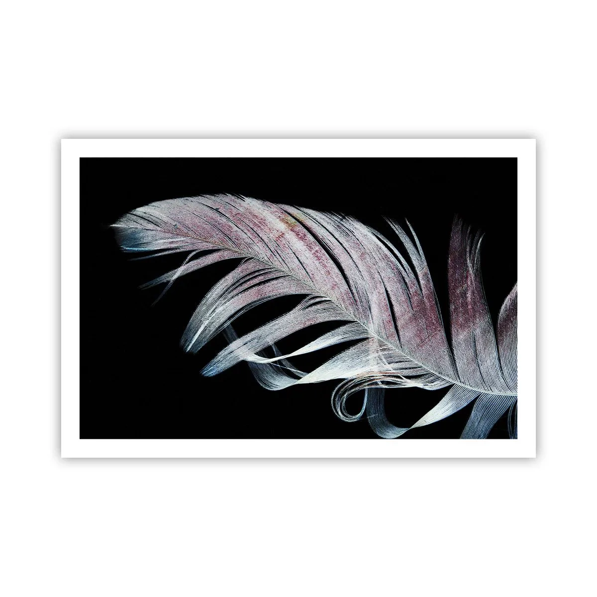 Poster - Denk aan aanraking - 91x61 cm