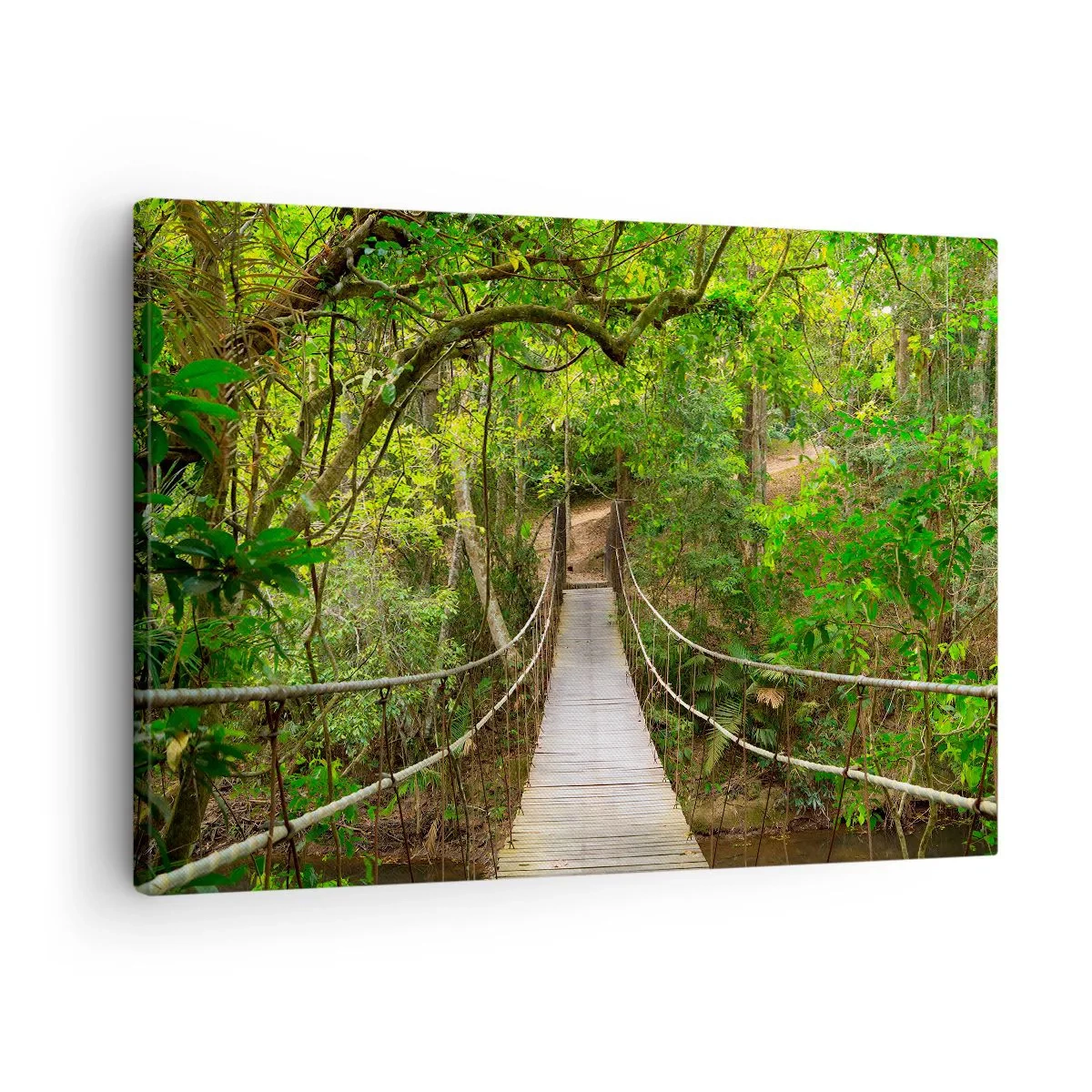 Schilderen op canvas - Een hangbrug omgeven door een groen regenwoud - 70x50cm - Want er staat een klimplant in de tuin - Moderne wanddecoratie voor woonkamer en slaapkamer ARTTOR