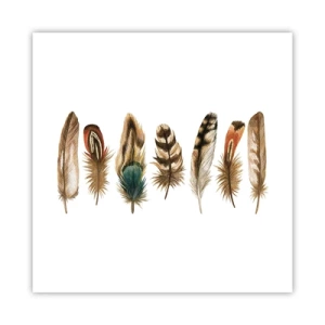 Poster - Een gevederde variatie - 40x40 cm