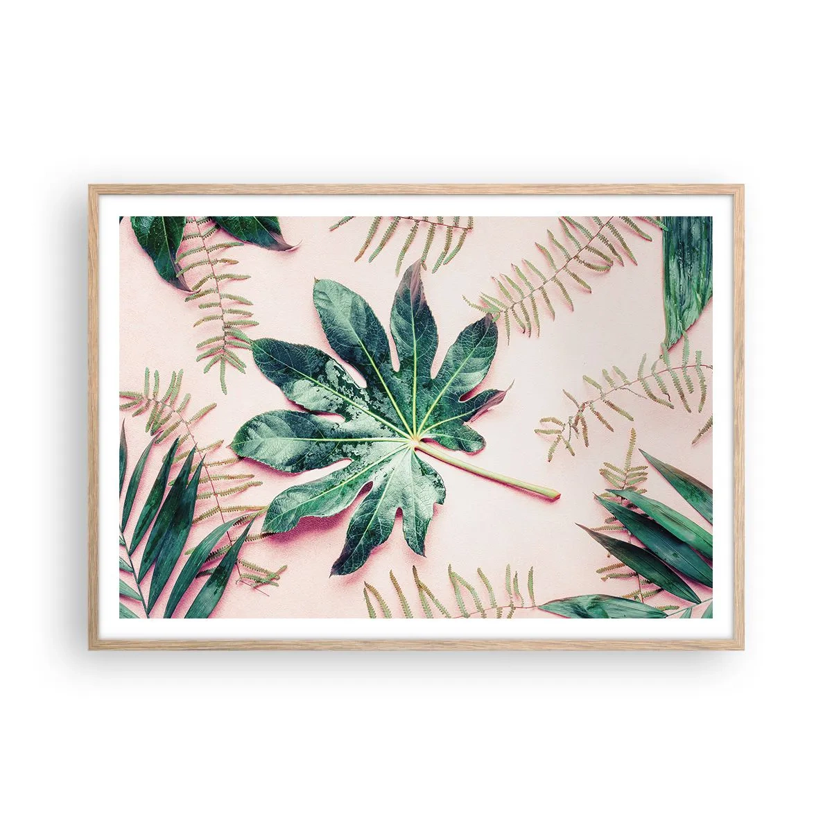 Een poster in een licht eiken lijst - Een studie van groen op een roze achtergrond - 100x70 cm