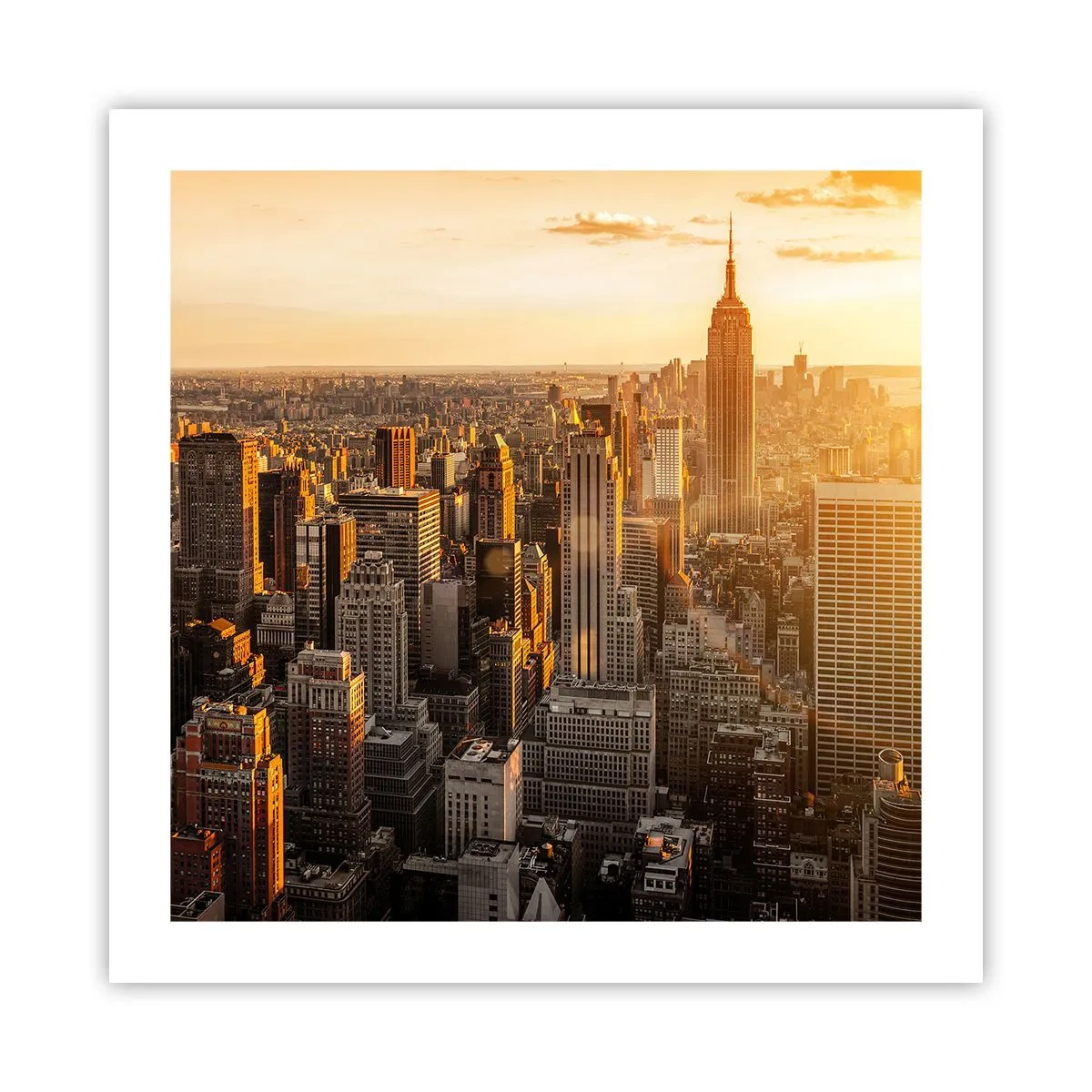 Poster - Groeien in de zon - 50x50 cm