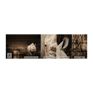 Fotobehang Monster Premium Sand - Wit tegen de natuur - Neushoorn, Dieren, Afrika - 100x30 cm