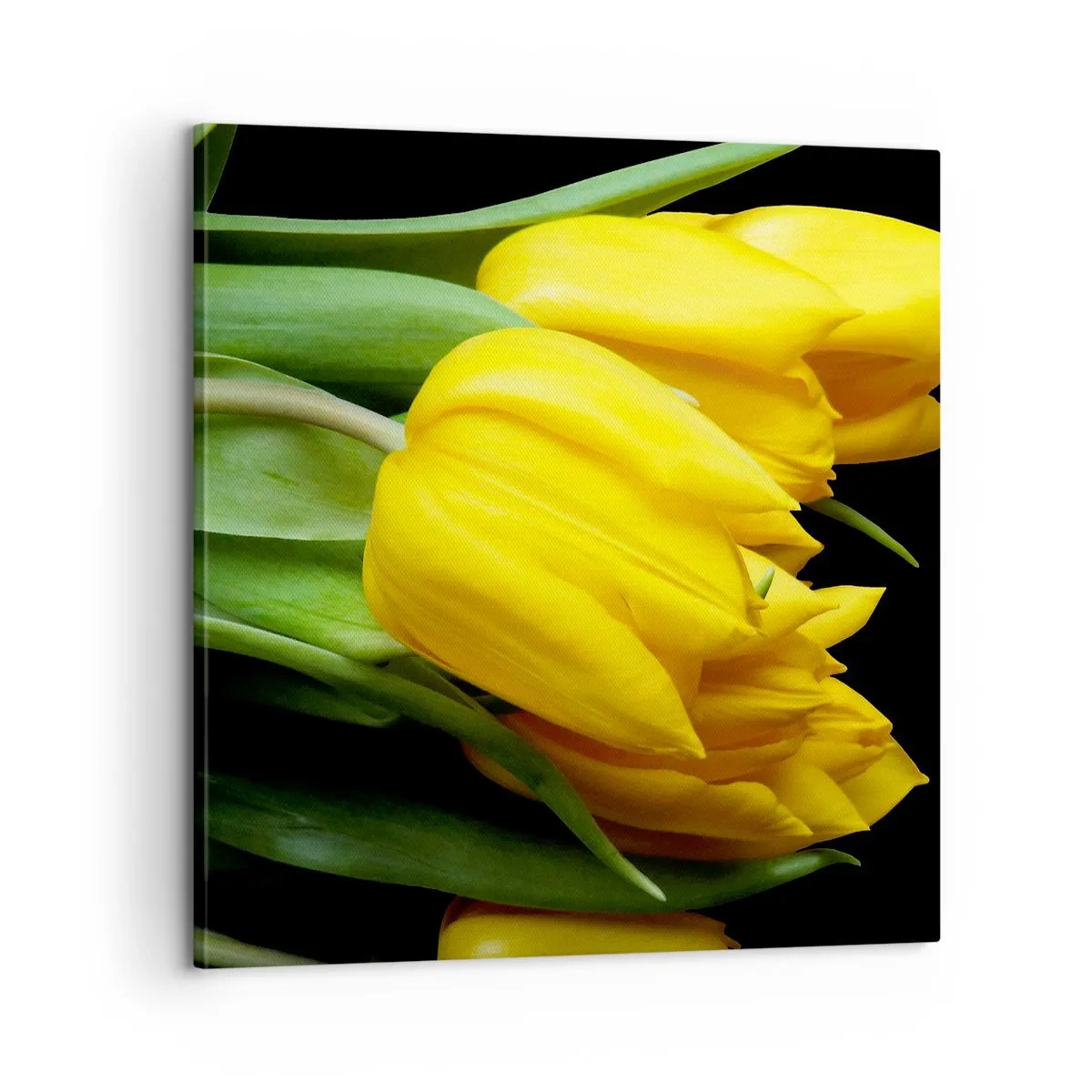 Schilderen op canvas - Gemaakt van heldere zon - 60x60 cm