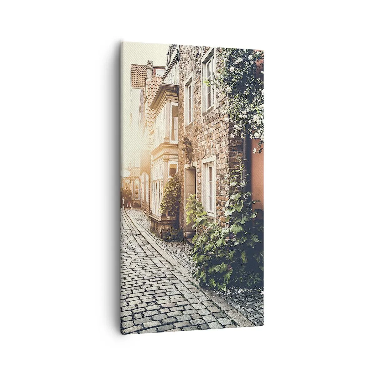 Schilderen op canvas - Rozensteeg in roze gloed - 55x100 cm