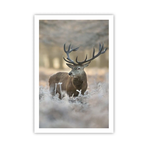 Poster - Een frisse ochtend - 61x91 cm