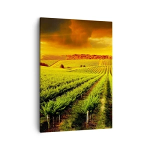 Schilderen op canvas - Onder de Australische zon - 50x70 cm