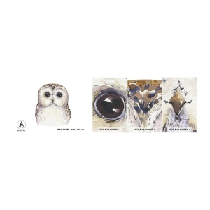 Fotobehang Monster Zelfklevend Deluxe Sticker - Kijk in mijn ogen - Uil, Vogel, Grafisch - 100x30 cm